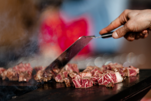 halles de bacalan creation de contenu Marmots agence de communication digitale Agen et Anglet