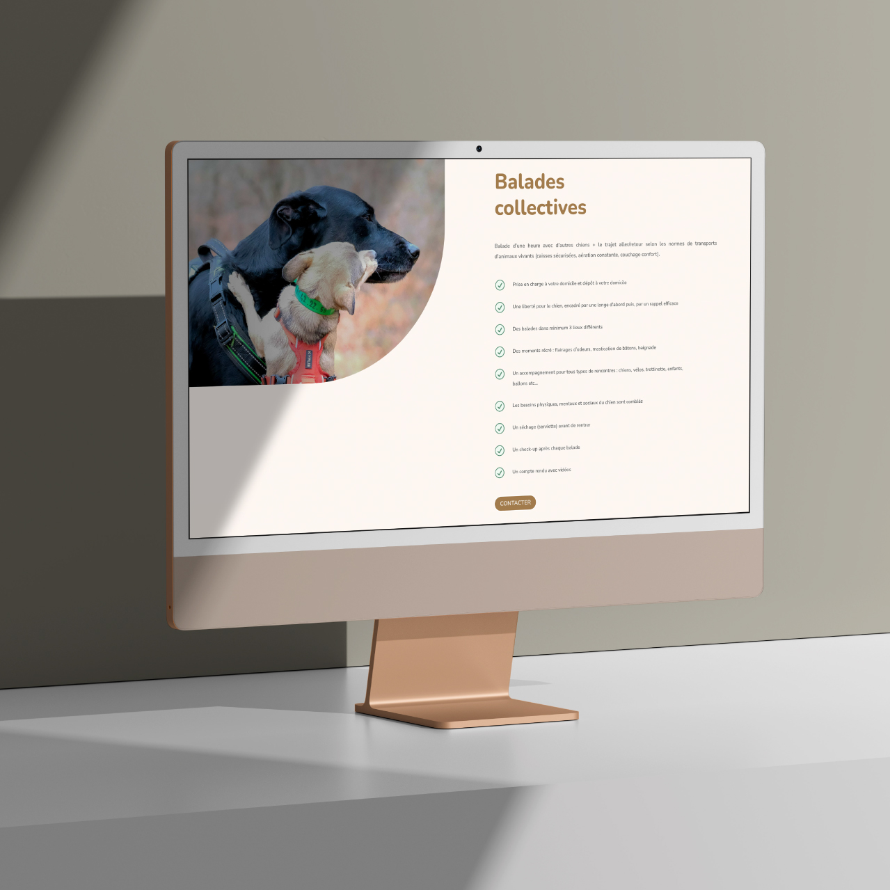agenda animaux creation de site internet 3 Marmots agence marketing locale Agen Bordeaux