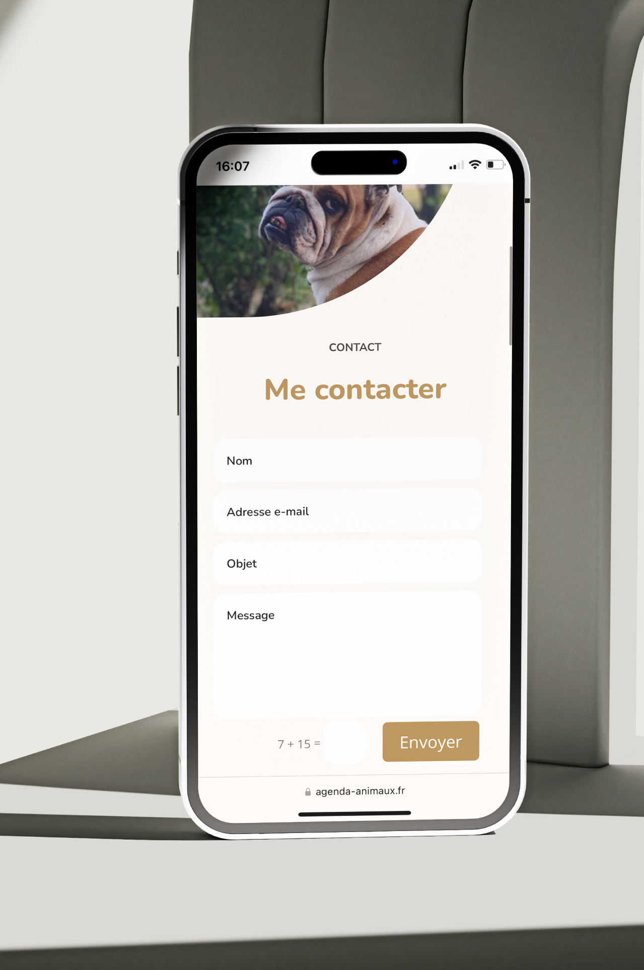 agenda animaux creation de site internet 5 Marmots agence marketing locale Agen Bordeaux