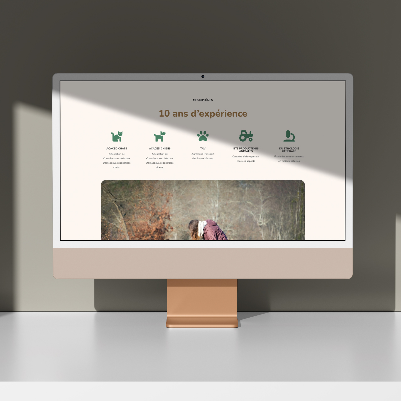 agenda animaux creation de site internet Marmots agence marketing locale Agen Bordeaux