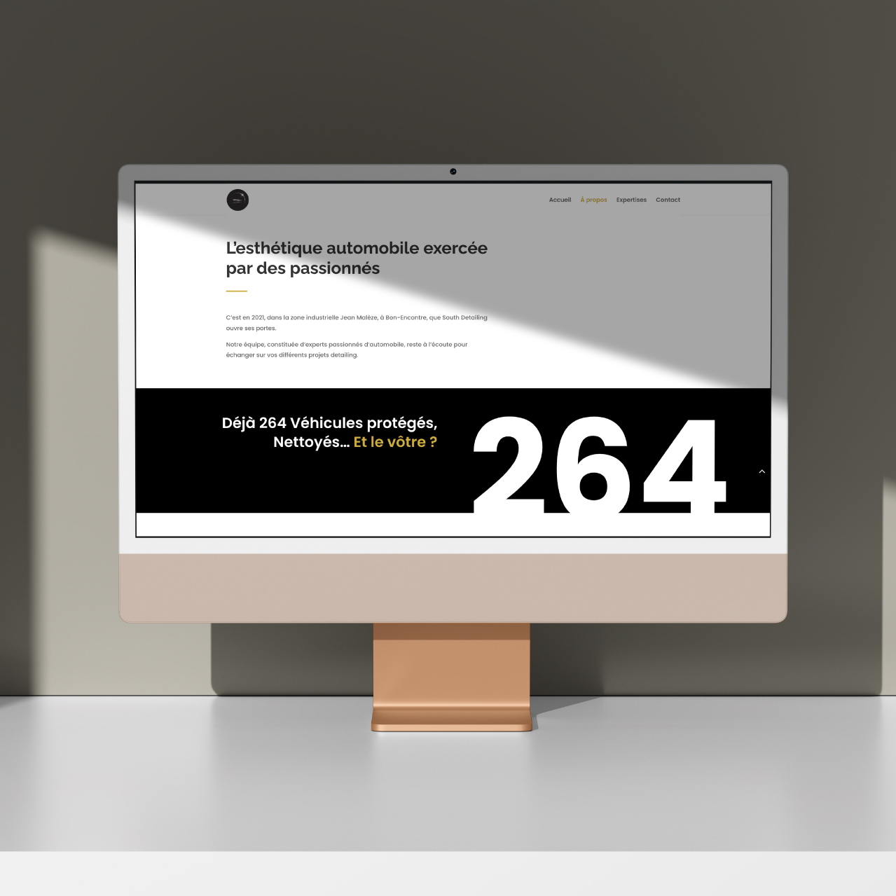 south detailing creation de site internet Marmots agence marketing locale Agen Bordeaux
