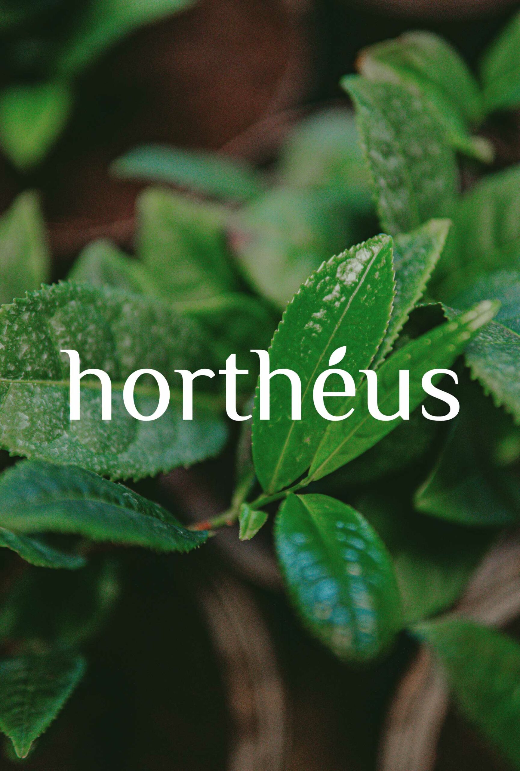 marmots projets hortheus packaging 01