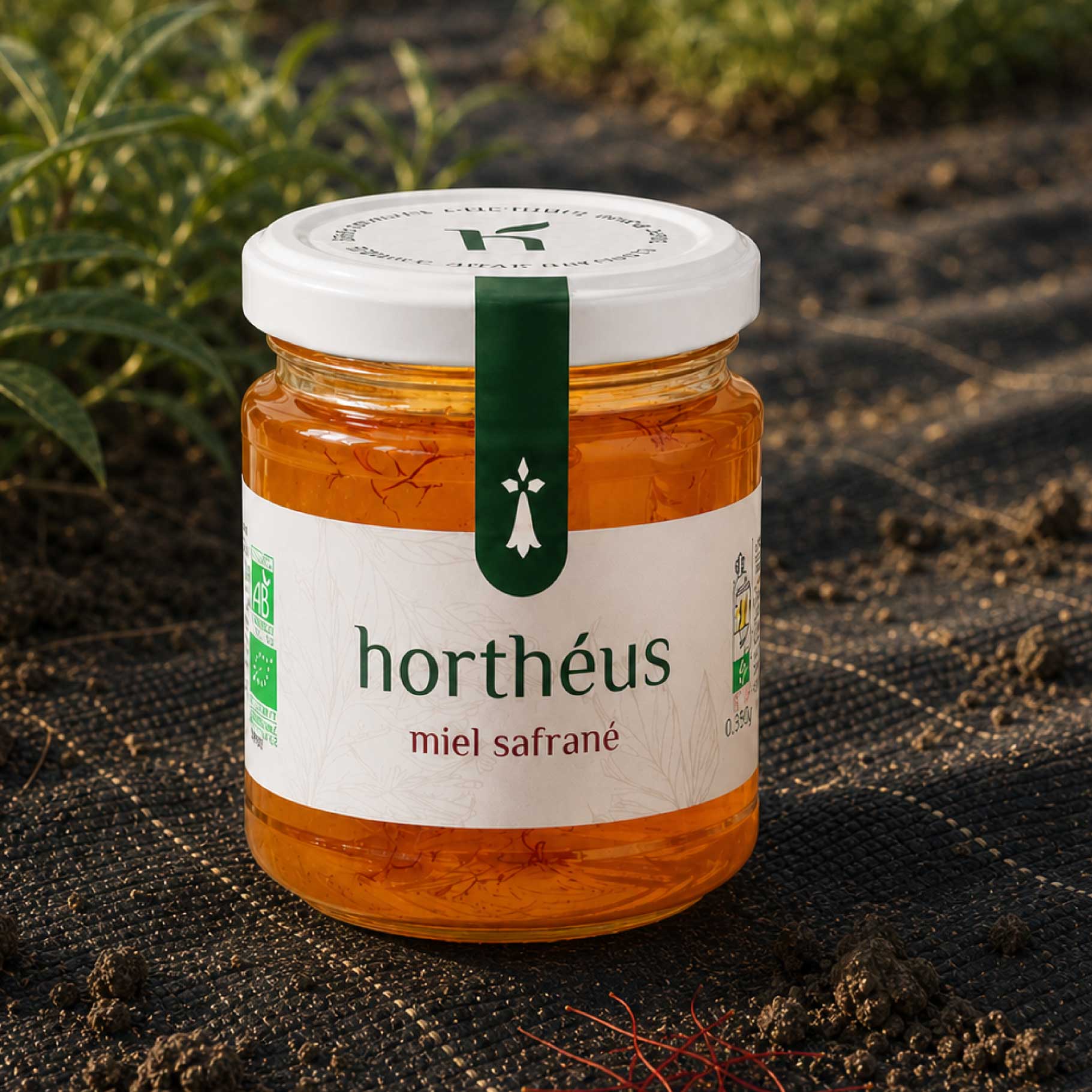 marmots projets hortheus packaging 04