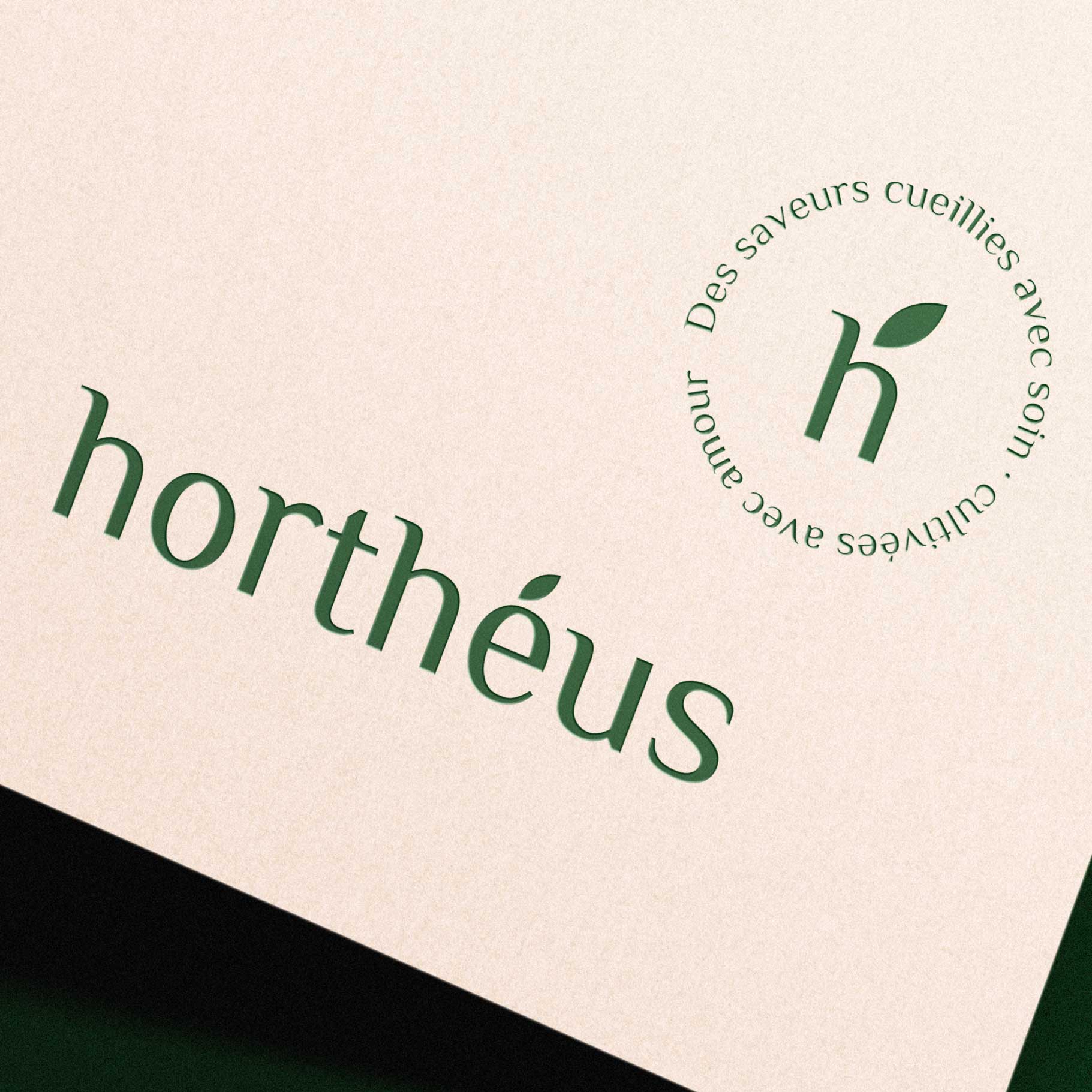 marmots projets hortheus packaging 05