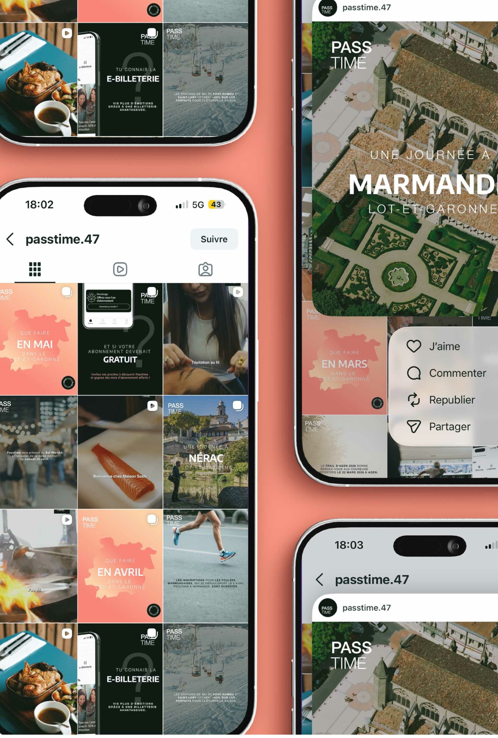 marmots projets passtime contenu 03